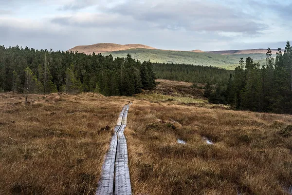 Sheskin Forest – la natura selvaggia a cielo aperto del Mayo