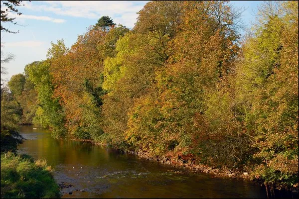 Autumn on the Sixmilewater, Antrim - geograph.org.uk - 588856