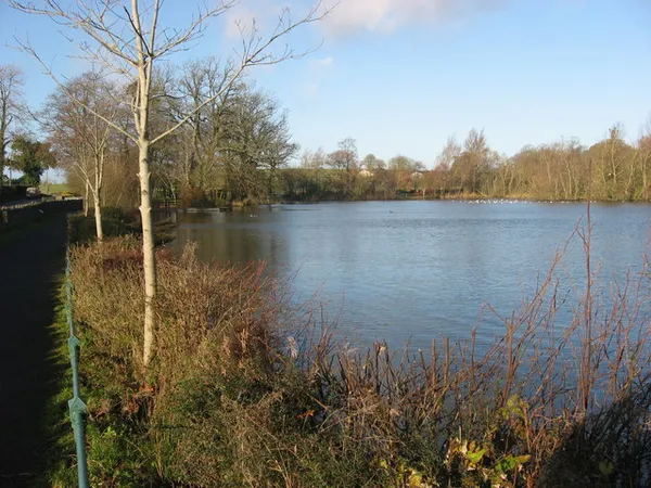 Stephenstown Pond – Naturpark in Knockbridge