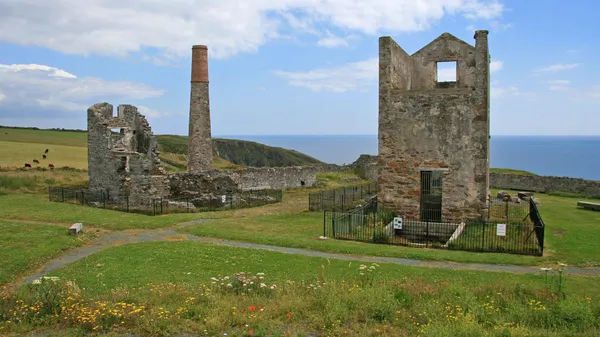 Casa dei motori in pietra senza tetto e rovine di camino su una scogliera erbosa con il mare dietro.