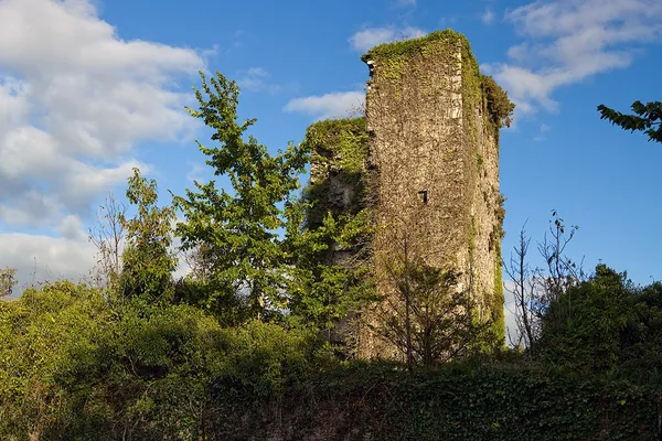 Templemichael Castle – rudere di torre sul Blackwater